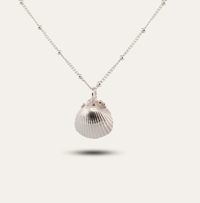 DAINTY LONDON - Recycled Sterling Silver Seashell Necklace