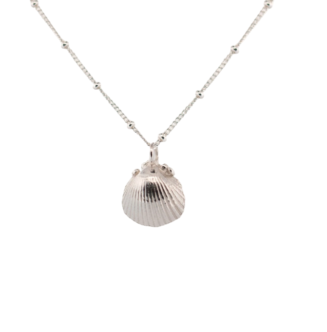 DAINTY LONDON - Recycled Sterling Silver Seashell Necklace