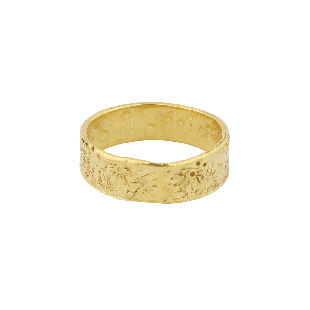 MOMOCREATURA- Moon Crater Ring 6mm Gold Vermeil