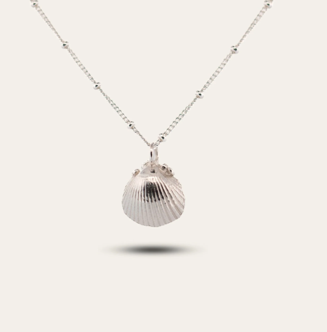 DAINTY LONDON Recycled Sterling Silver Seashell Necklace