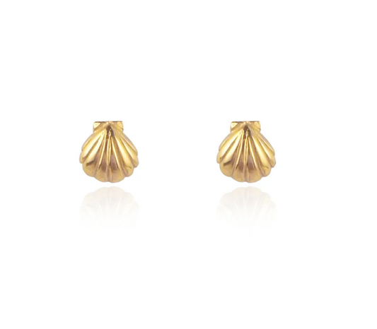 MOMOCREATURA - Shell stud earrings