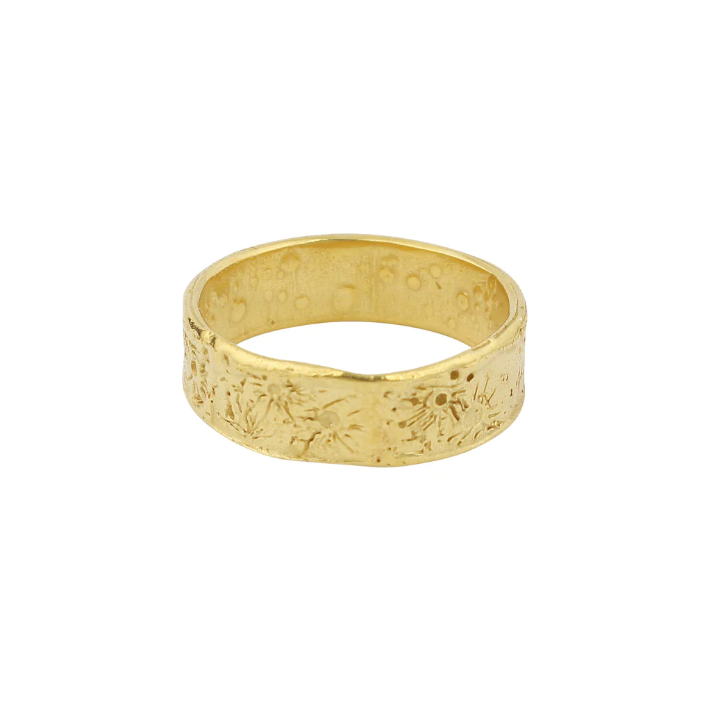 MOMOCREATURA-  Moon Crater Ring 6mm Gold Vermeil 